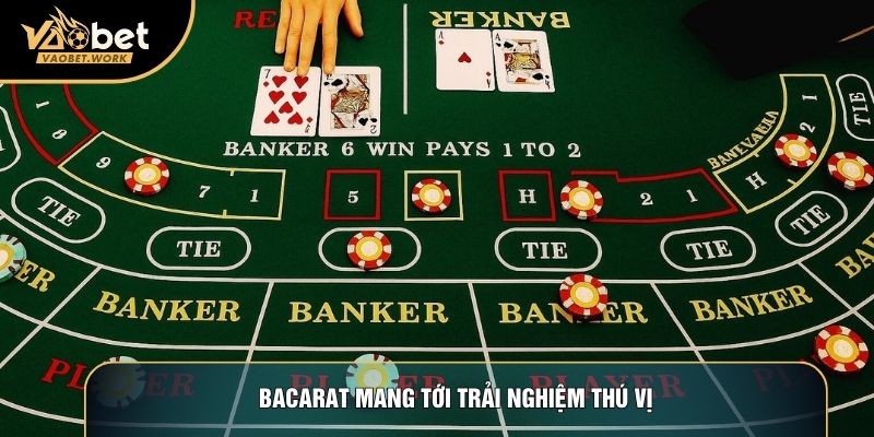 Bacarat mang tới trải nghiệm thú vị