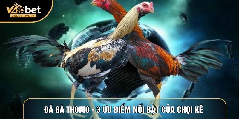 Đá Gà Thomo - 3 Ưu Điểm Nổi Bật Của Chọi Kê Trực Tuyến