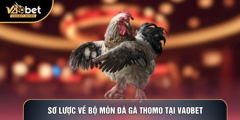 Sơ lược về bộ môn Đá gà Thomo tại Vaobet