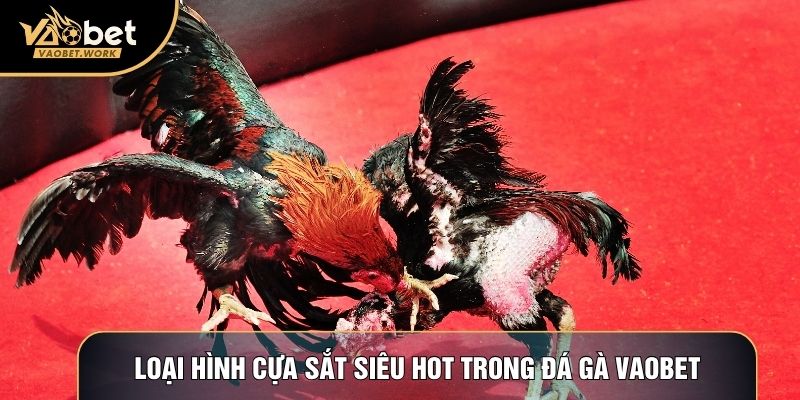Loại hình cựa sắt siêu hot trong Đá gà Vaobet