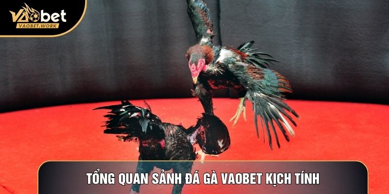 Tổng quan sảnh Đá gà Vaobet kịch tính