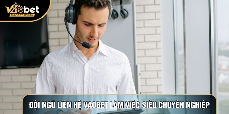 Đội ngũ liên hệ Vaobet làm việc siêu chuyên nghiệp
