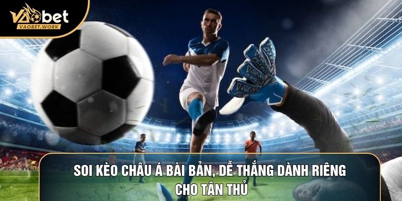 Soi Kèo Châu Á Bài Bản, Dễ Thắng Dành Riêng Cho Tân Thủ