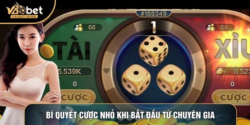 Bí quyết cược nhỏ khi bắt đầu từ chuyên gia